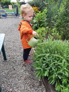 Watering the Garden